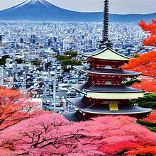 Tokyo & Kyoto Travel Guide 2025.