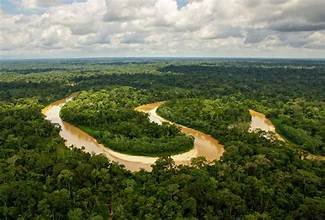 History of the Amazon Jungle